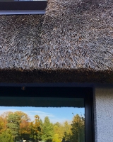 129_tesc0666.jpg