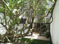 55_img5633.jpg