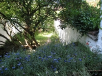 55_img6500.jpg